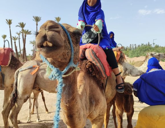 Camel Ride in the Palmeraie (Free transfer)