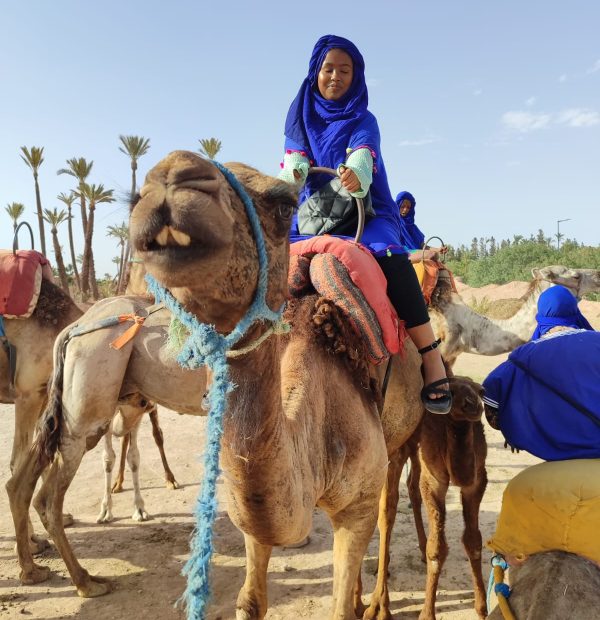 Camel Ride in the Palmeraie (Free transfer)
