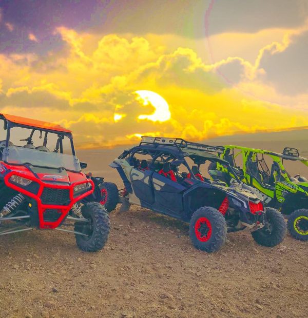 Half-Day Agafay Desert Buggy Tour