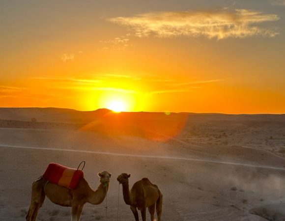 Sunset Camel Ride in Agafay desert