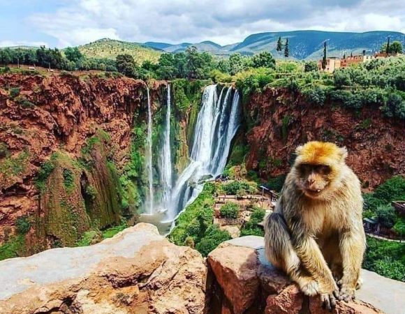Private Ouzoud Waterfalls Day Trip: An Escape to Nature