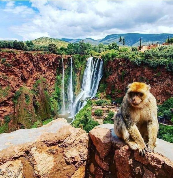 Private Ouzoud Waterfalls Day Trip: An Escape to Nature