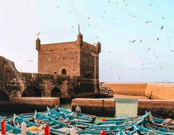 Day Trip To Essaouira From Marrakech