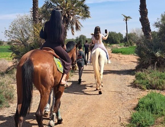 Horse Riding in Palmeraie Desert