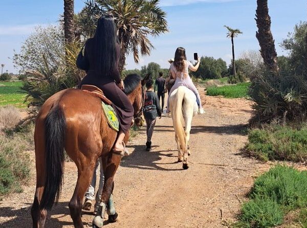 Horse Riding in Palmeraie Desert
