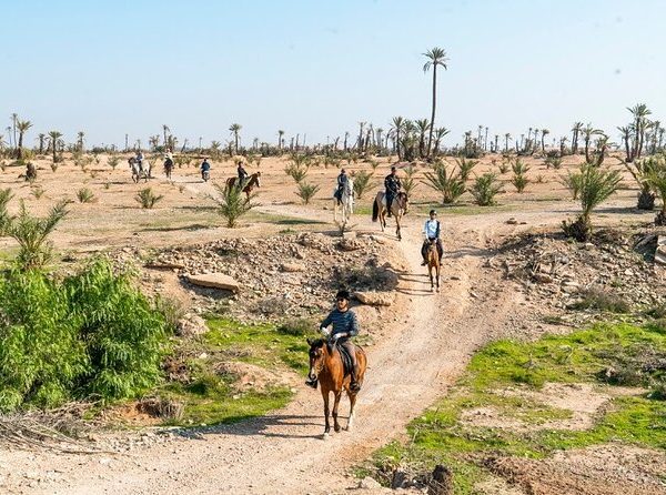 marrakech desert expeditions Horse Riding