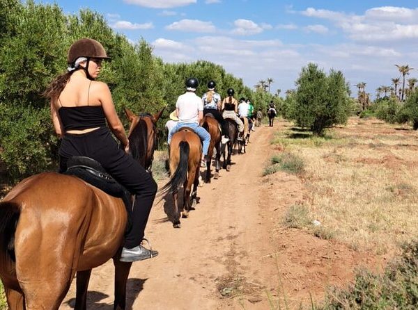 marrakech desert expeditions Horse Riding