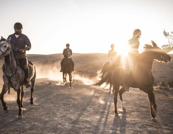 Majestic Sunset Horse Riding in Agafay Desert