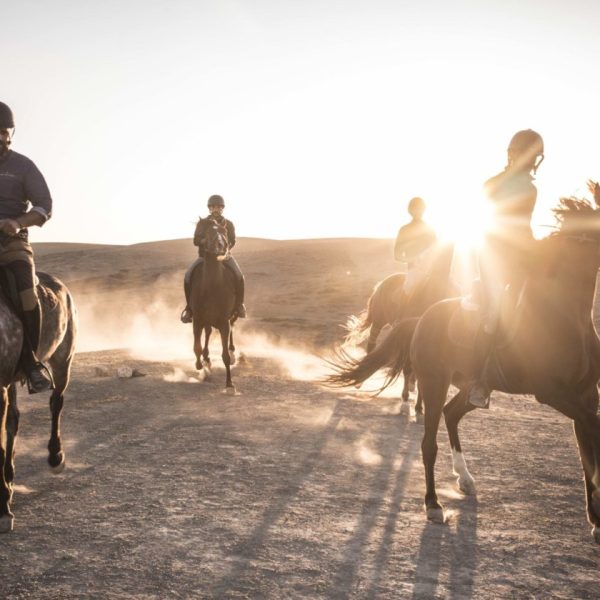 Majestic Sunset Horse Riding in Agafay Desert